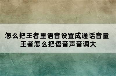 怎么把王者里语音设置成通话音量 王者怎么把语音声音调大